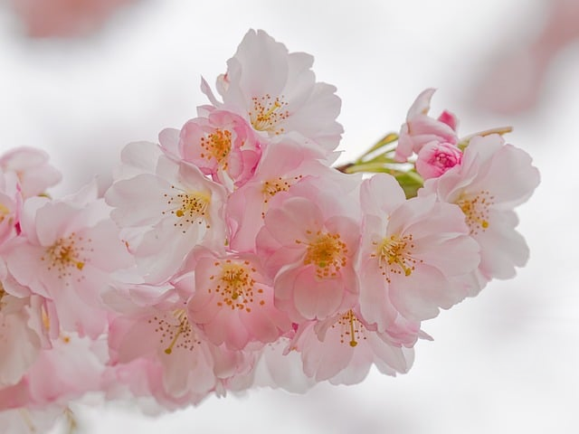 如何进行seo 才能在一夜之间拉开和竞争对手的差距