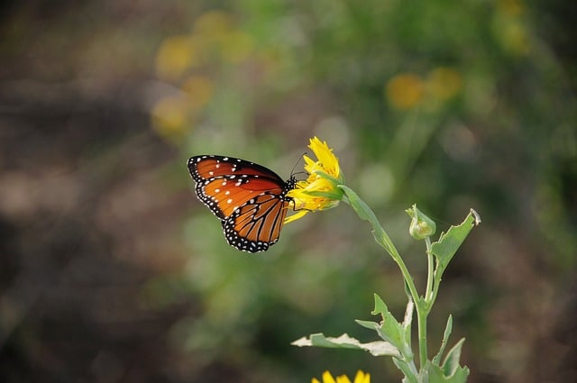 矩阵账号为什么突然不灵了一位增长操盘手把2026年的真问题摊开讲