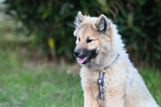 震惊新站长：seo白帽是什么意思不踩坑也能把排名做上去的那套玩法