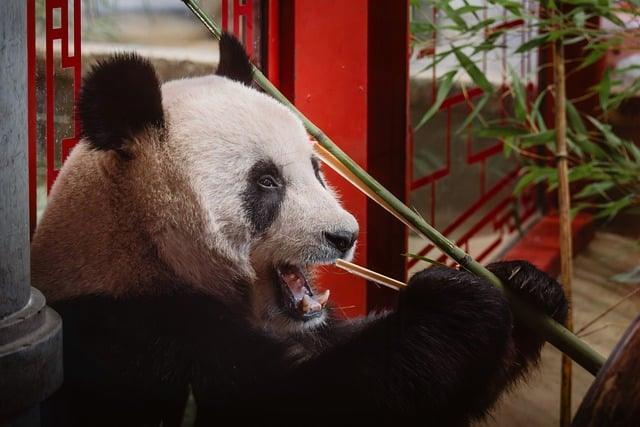 熬夜做站长的你,真的选对了seo优化工具推荐吗一份少走弯路的干货清单 熬夜做站长的你,真的选对了seo优化工具推荐吗一份少走弯路的干货清单