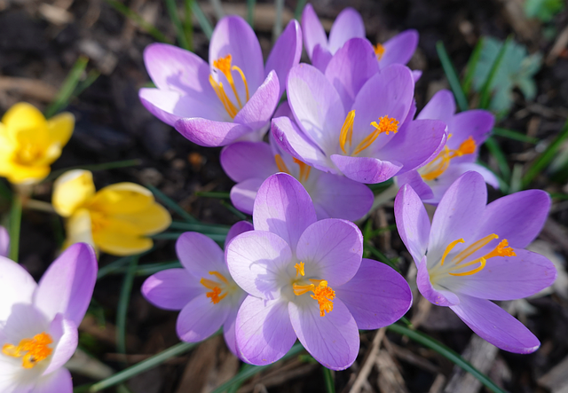 熬夜刷完20个课程后，我劝你先看这篇：seo视频教程其实有坑，也有捷径