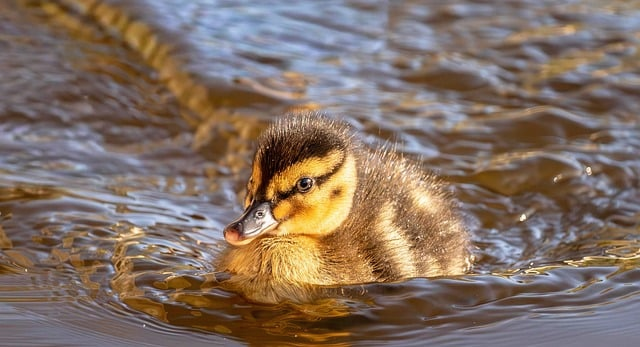 被忽视的网站SEO优化技巧：99%站长没做对的细节真相