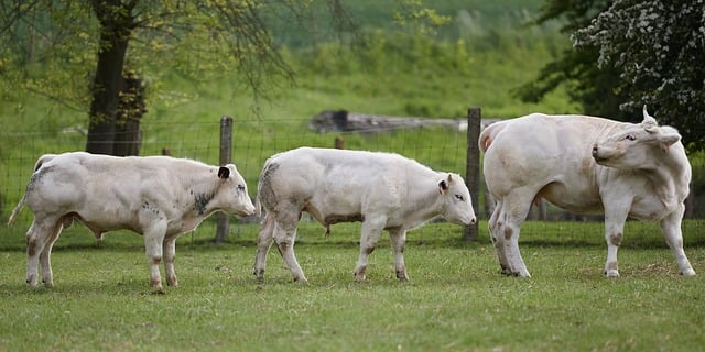 熬夜写了300篇seo博客后，我发现一个没人告诉你的流量真相