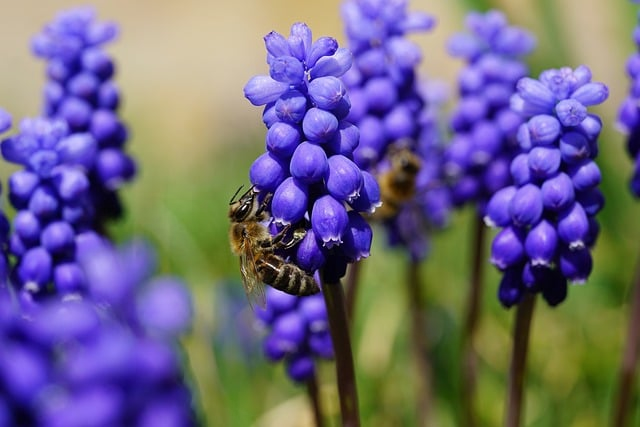 熊猫关键词工具：被低估的“流量放大器”，到底能挖出多少冷门宝藏词