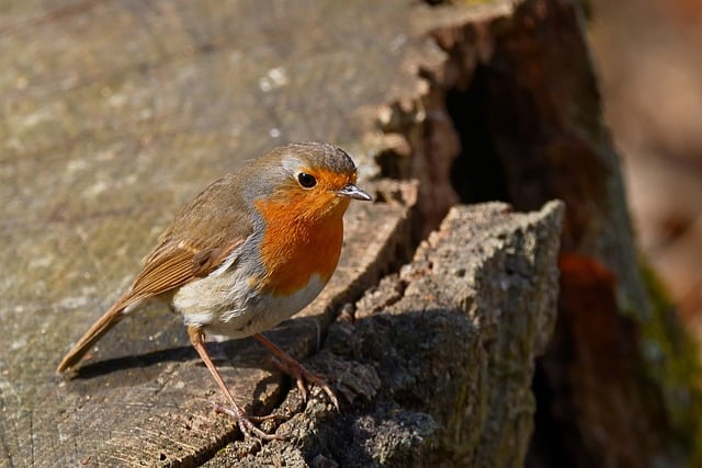 什么叫做账号矩阵把流量、转化和风险看明白的一篇解释 什么叫做账号矩阵把流量、转化和风险看明白的一篇解释