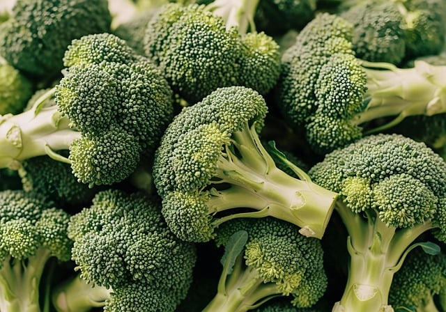 从流量焦虑到稳定询盘：seo优化怎么做 才算真正有用的那种