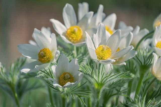 被流量反噬过一次后,我才真正明白什么叫“seo白帽” 被流量反噬过一次后,我才真正明白什么叫“seo白帽”