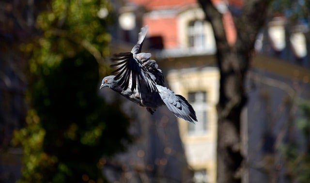 被忽视的流量金矿:我如何用熊猫关键词挖掘工具撬开一个又一个细分市场 被忽视的流量金矿:我如何用熊猫关键词挖掘工具撬开一个又一个细分市场