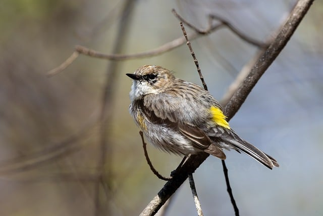 微信小程序运营总没起色一线增长操盘手把问题拆开给你看