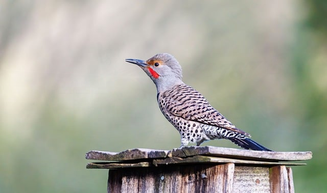 做了8年SEO,我终于说清楚:seo关键词优化软件,到底值不值得用 做了8年SEO,我终于说清楚:seo关键词优化软件,到底值不值得用